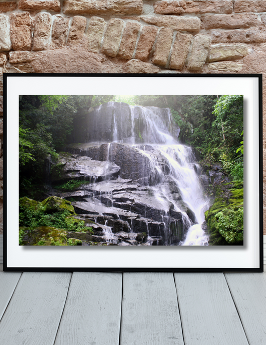 Featured Artist of the Month: Bill Colon "Seeing Through Stillness"