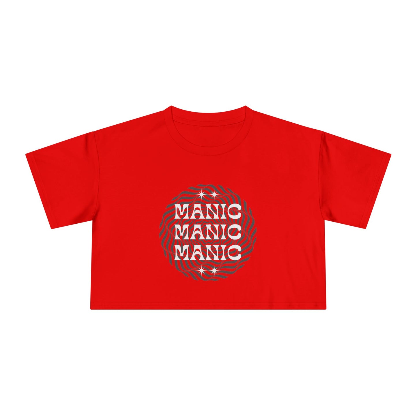 Manic! at the Disco T Shirt