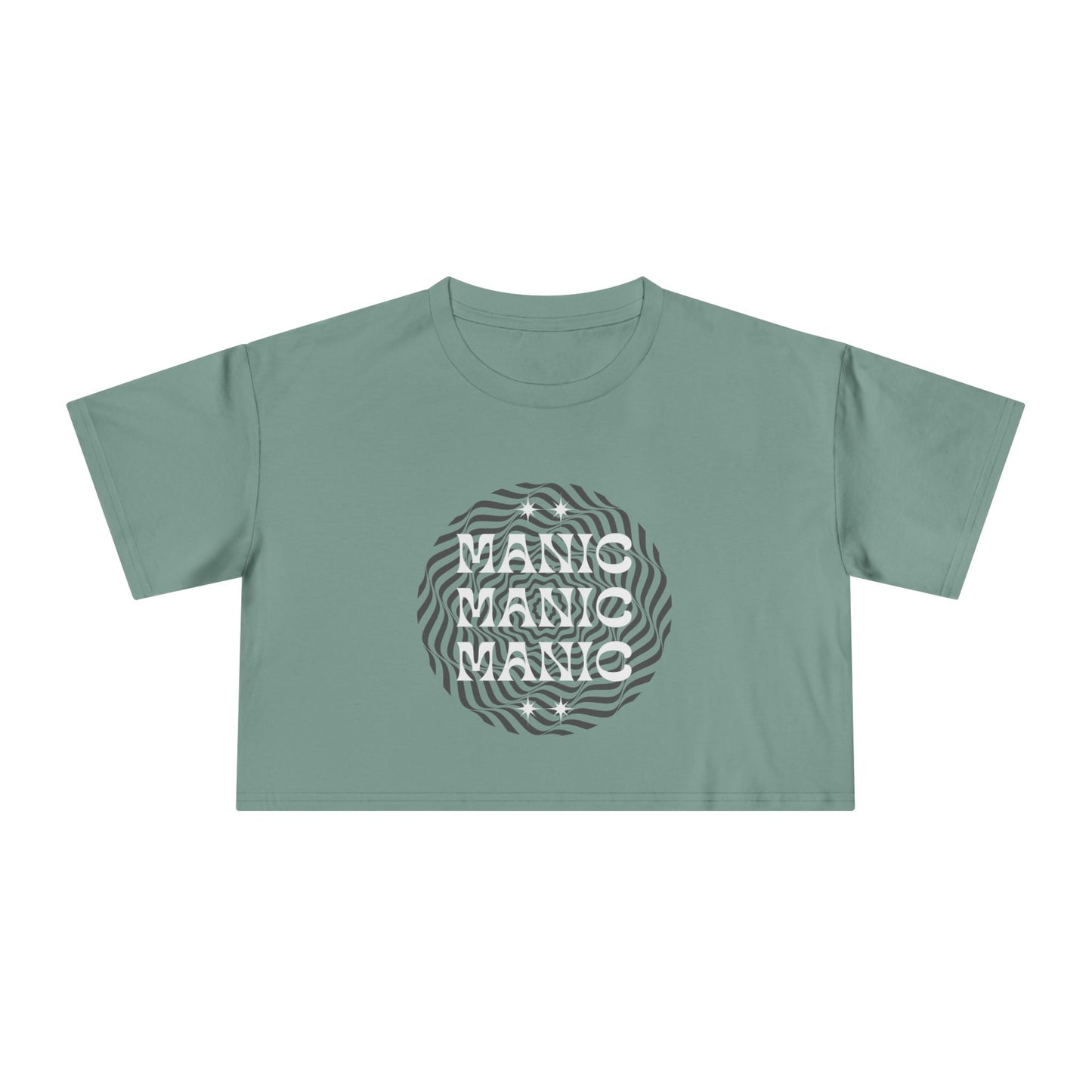 Manic! at the Disco T Shirt