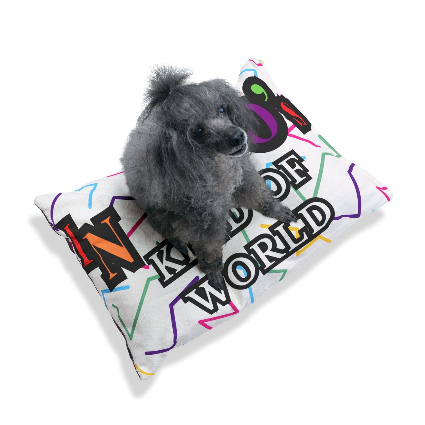 90s Kind of World Pet Bed
