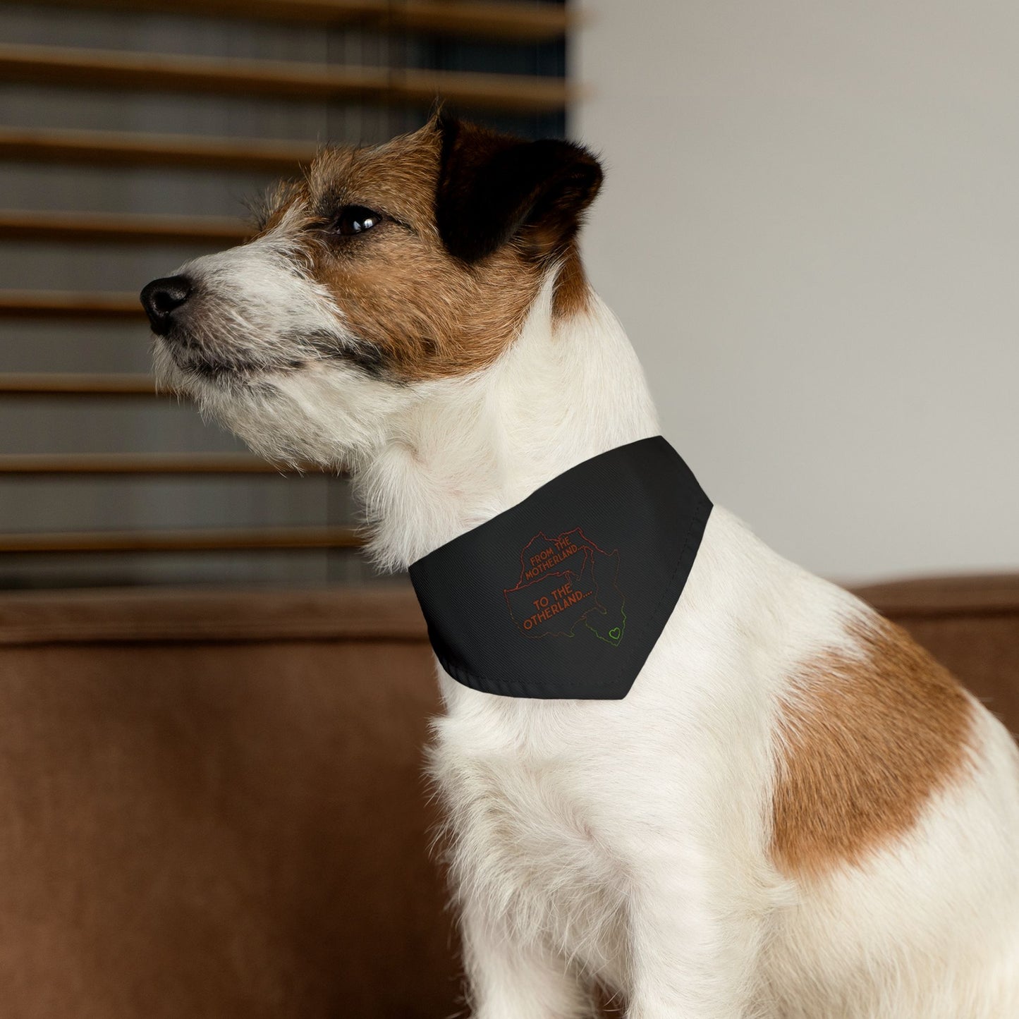 Diasporic Love Collection Pet Bandana Collar