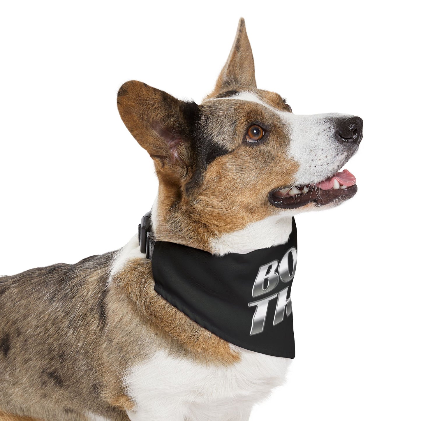 Bone Thug Pet Bandana Collar