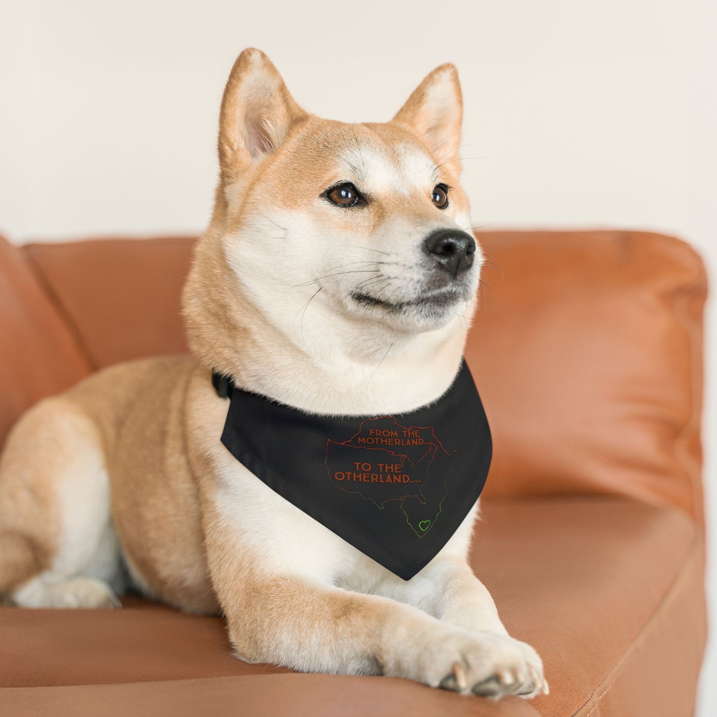 Diasporic Love Collection Pet Bandana Collar