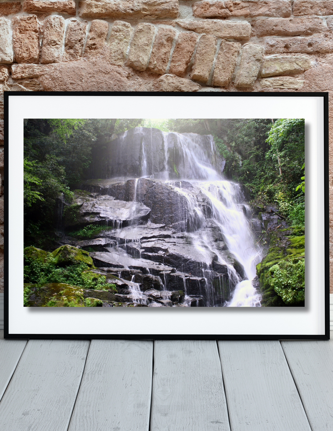 Featured Artist of the Month:  Bill Colon "Seeing Through Stillness"