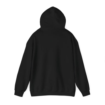 'OUTERVERSE'  Heavy Blend™ Hooded Sweatshirt