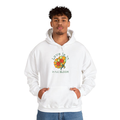 'Luv is in the air' Hooded Sweatshirt