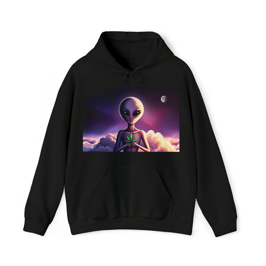 Peace Offering... Hooded Sweatshirt