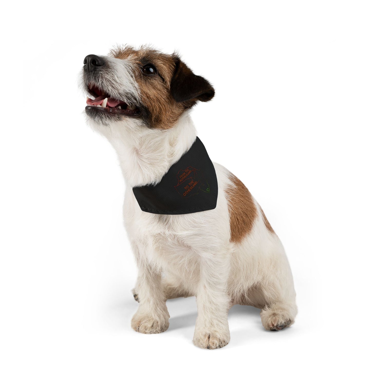 Diasporic Love Collection  Pet Bandana Collar