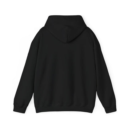 'OUTERVERSE'  Heavy Blend™ Hooded Sweatshirt