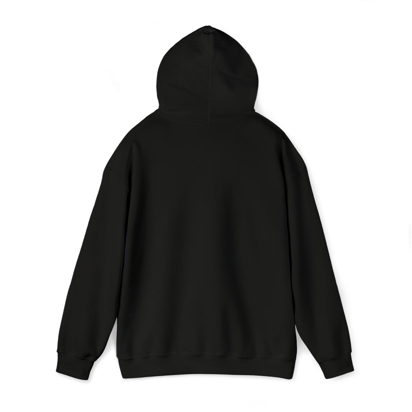 The Outerverse is yours.... Hooded Sweatshirt